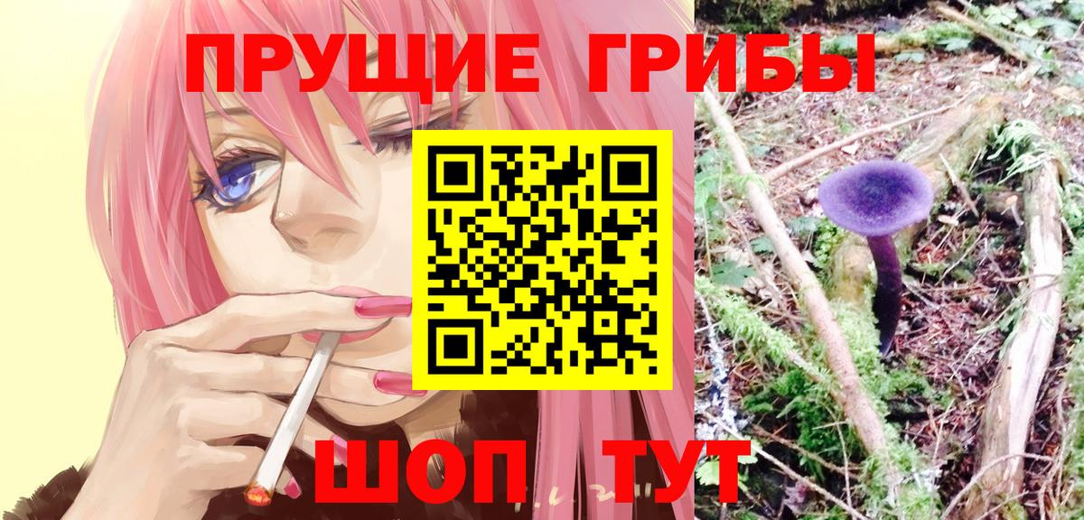 Псилоцибиновые грибы мухоморы Калининград